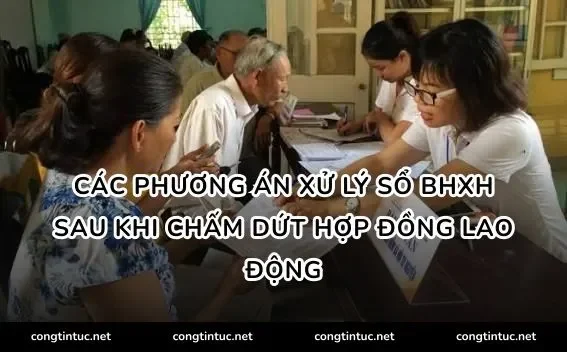 Các phương án xử lý sổ BHXH sau khi chấm dứt hợp đồng lao động