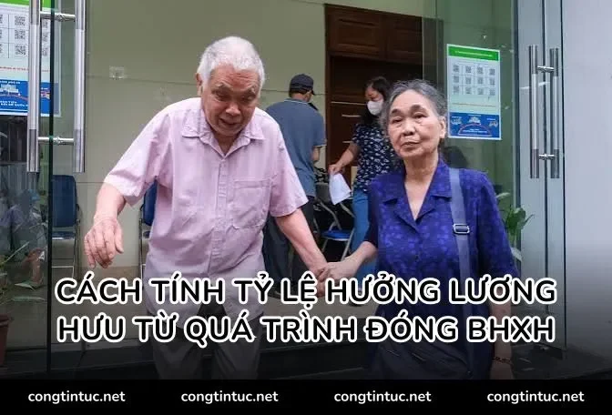 Cách tính tỷ lệ hưởng lương hưu từ quá trình đóng BHXH