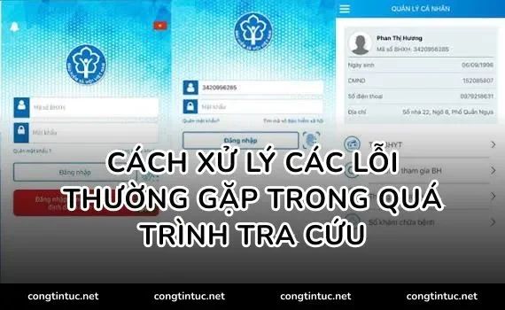 Cách xử lý các lỗi thường gặp trong quá trình tra cứu