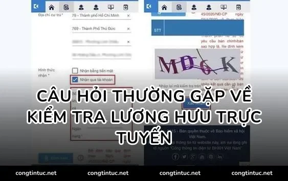 Câu hỏi thường gặp về kiểm tra lương hưu trực tuyến