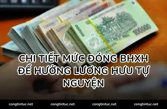 Chi tiết Mức đóng BHXH để hưởng lương hưu tự nguyện