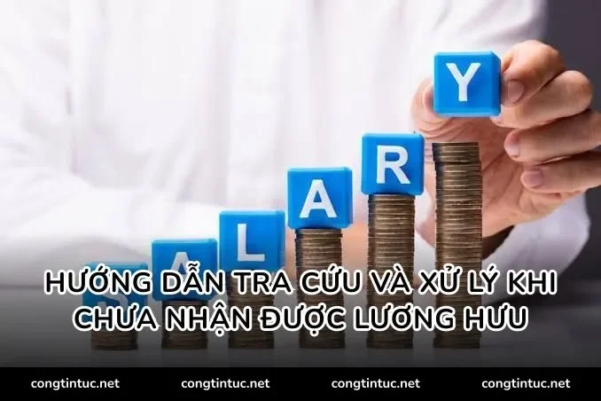 Hướng dẫn tra cứu và xử lý khi chưa nhận được lương hưu