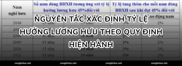Nguyên tắc xác định tỷ lệ hưởng lương hưu theo quy định hiện hành