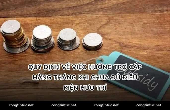 Quy định về việc hưởng trợ cấp hàng tháng khi chưa đủ điều kiện hưu trí